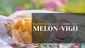 ビィゴライフ メロンビィゴ （期限2025年8月28日) VIGOLIFE MELONVIGO 